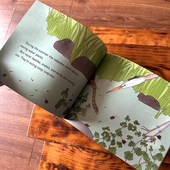 Vintage 1994 From Tadpole To Frog Let's Read And Find Out Science Paperback Book - Picture 5 of 8